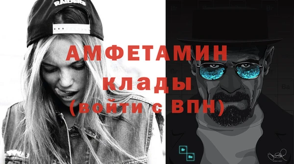 ECSTASY Алзамай
