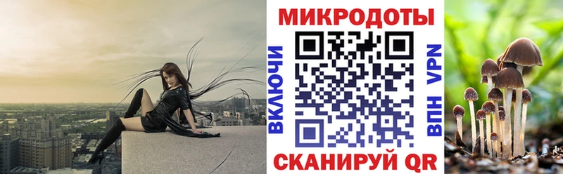 где купить наркоту  МЕГА вход  Галлюциногенные грибы Psilocybe  площадка официальный сайт  Змеиногорск 